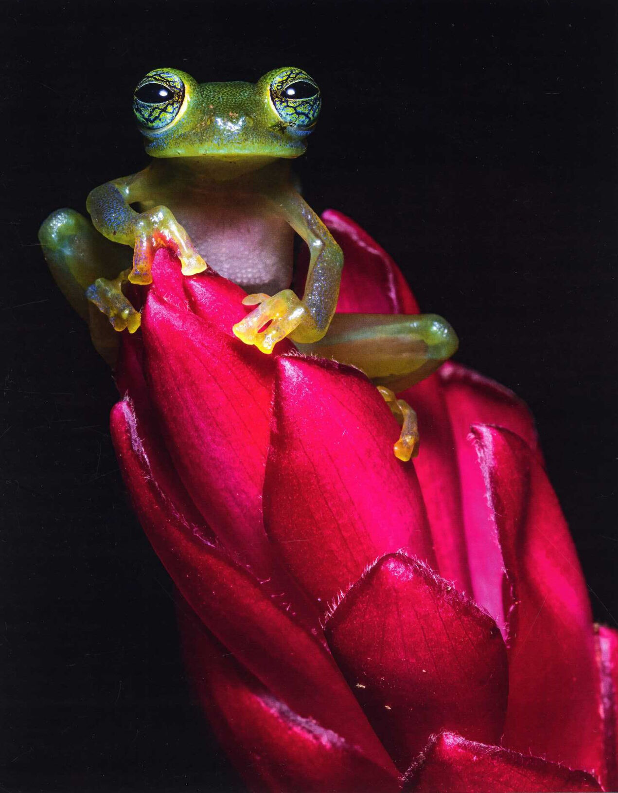 2021 Victoria Photography Club Contest Winners